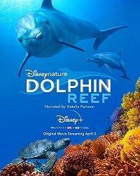 Дельфиний риф (2020) смотреть онлайн